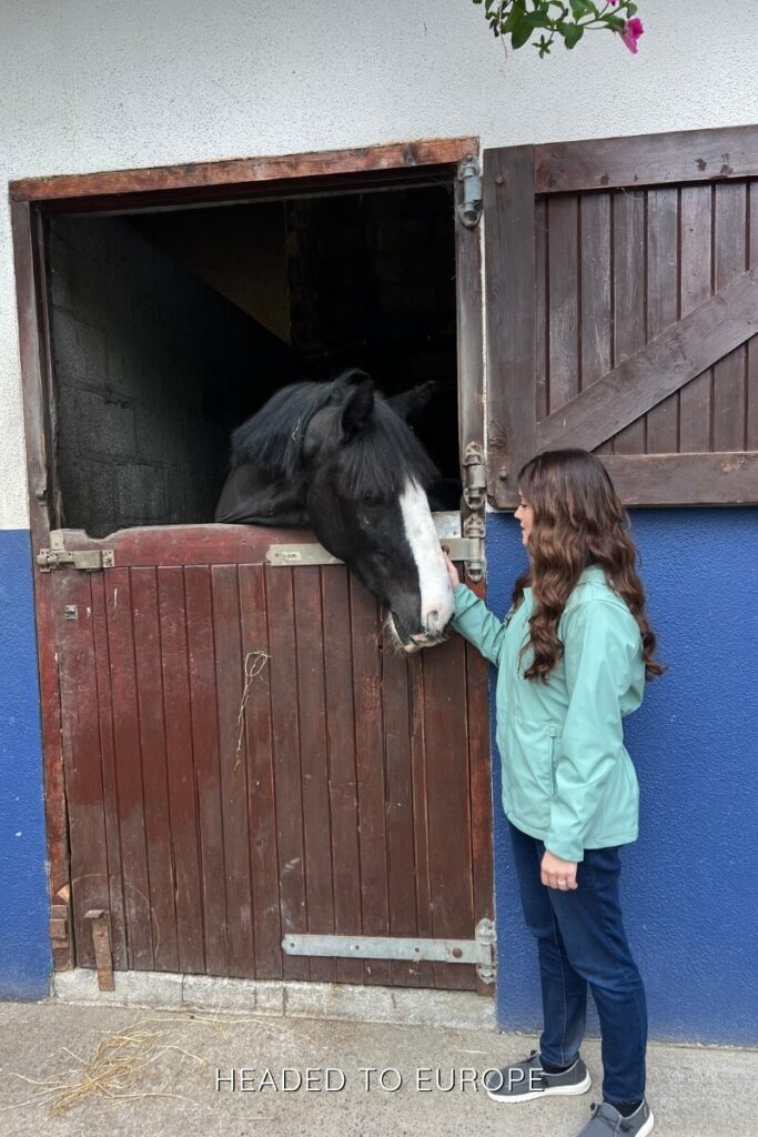 Janae in a teal jacket pets a black-and-white horse poking its head out of a wooden stable door with a blue and white wall behind them.