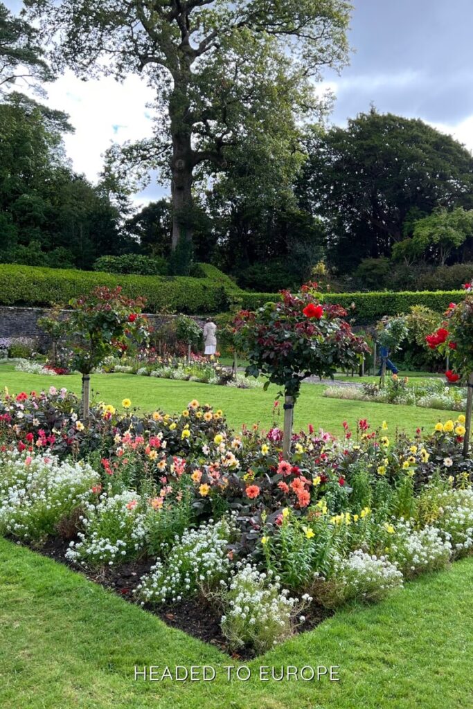 Vibrant castle gardens in Ireland filled with rows of colorful flowers, flowering trees, and a large oak tree in the background, with a person walking along the path.